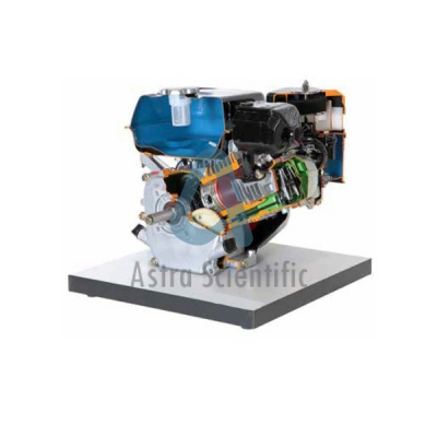 Astra Scientific Cut Model of Single Cylinder Four Stroke Petrol Engine