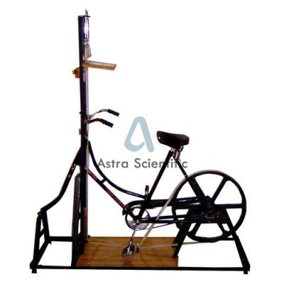 Bicycle Ergograph