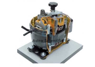 Cut Section Model Of Hermetic Compressor