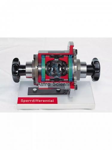 Cutaway Limited Slip Differential