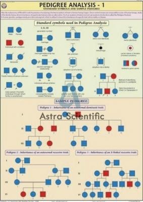 Pedigree Analysis-1 Chart