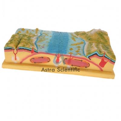 Plate Tectonic Model