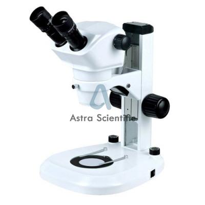 Stereo Zoom Microscopes