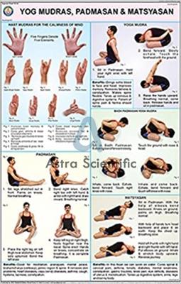 Yog, Mudrasan, Padmasan and Matsyasan Chart